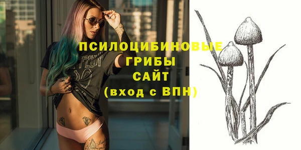 таблы Алзамай