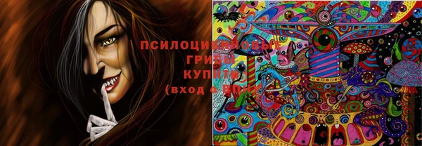 таблы Алзамай