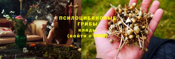 синтетический гашиш Алексеевка
