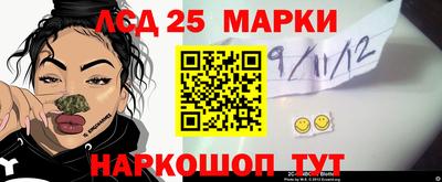 скорость Кингисепп
