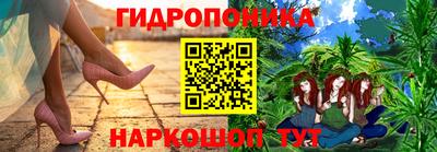 скорость Кингисепп