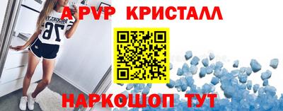 скорость Кингисепп