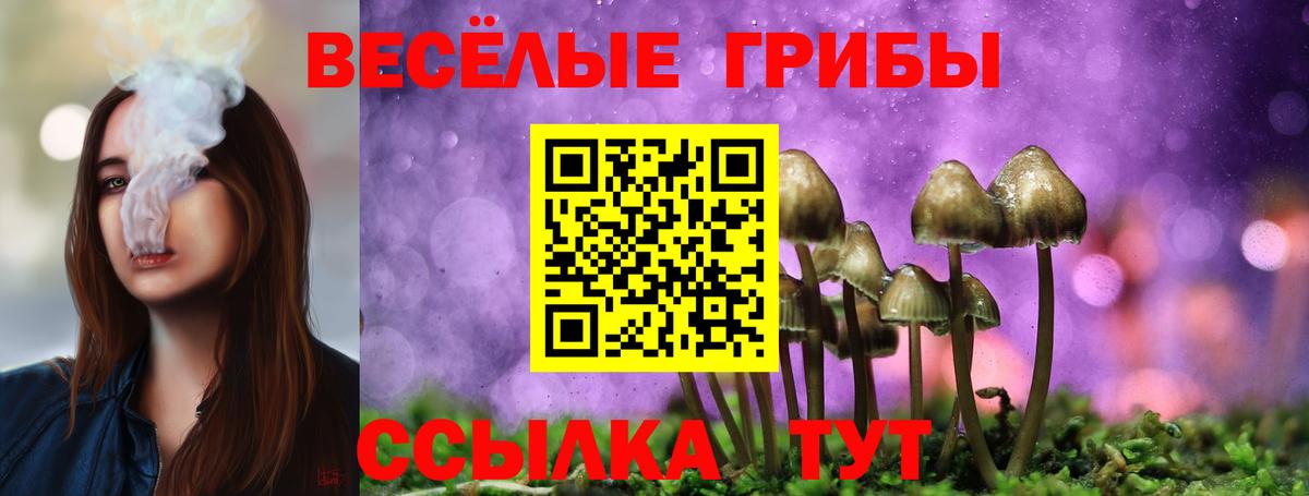 Псилоцибиновые грибы ЛСД Коркино