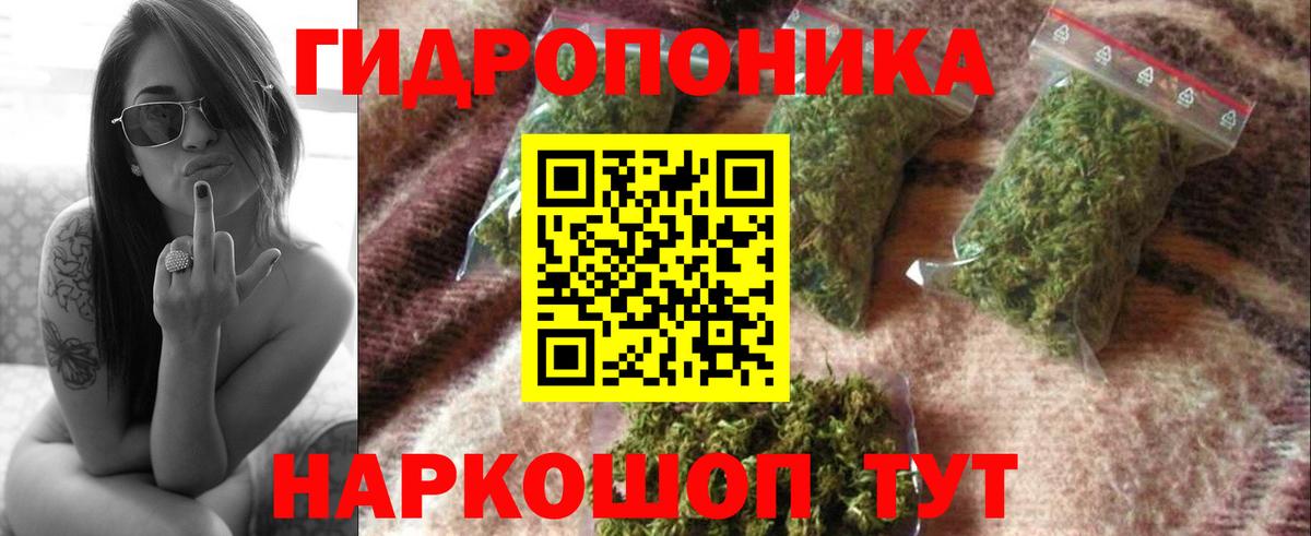 Канабис конопля  Вход с VPN  Коркино  Марихуана план 